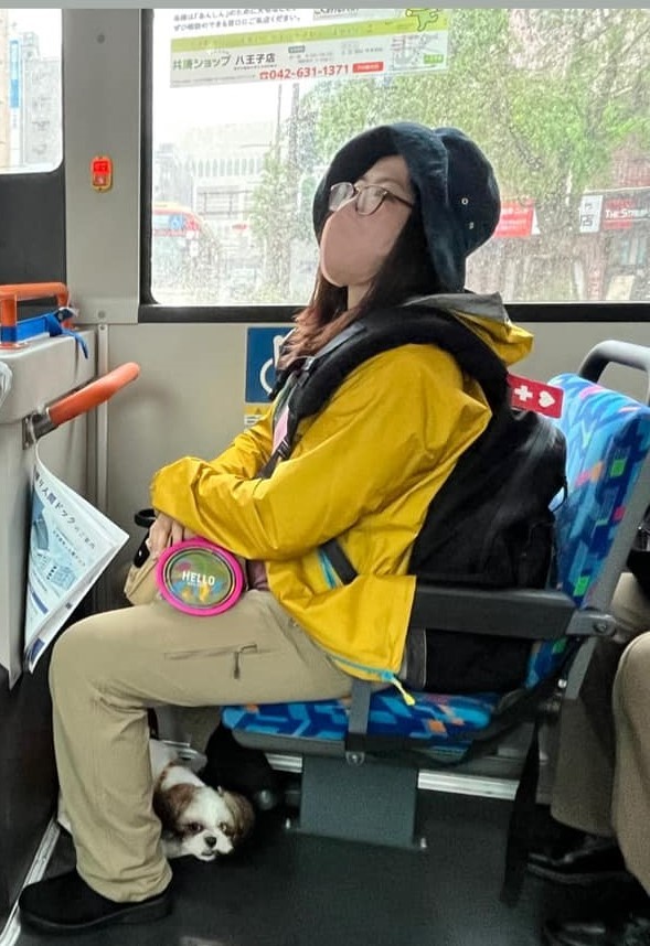 訓練整備された八王子でバスも乗車できます