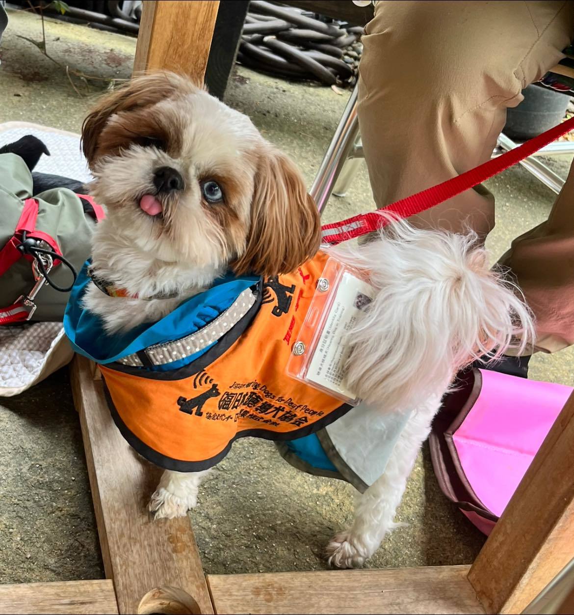 かなちゃんと一緒に頑張ります