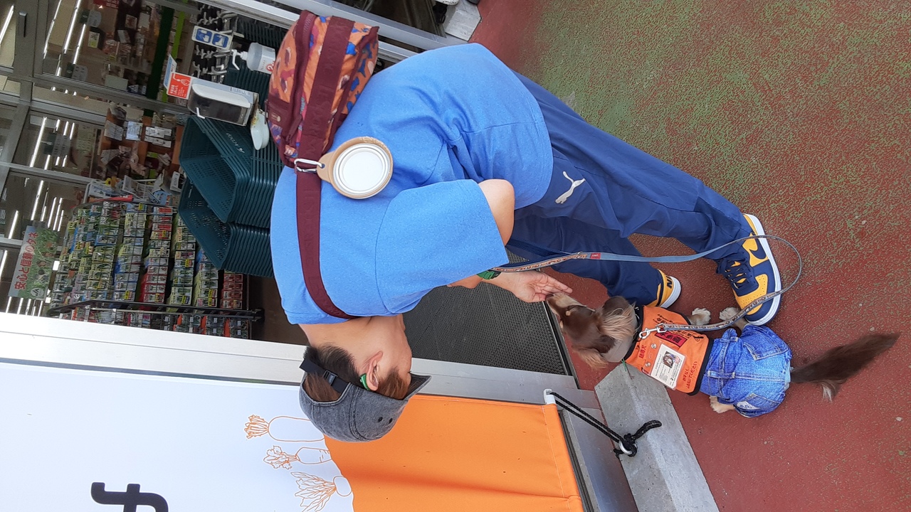 お買い物訓練もお上手!